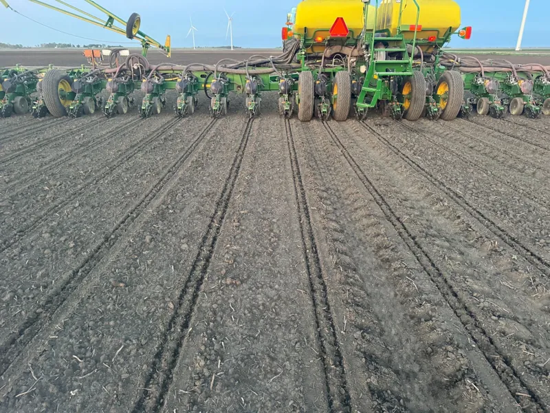 Planting