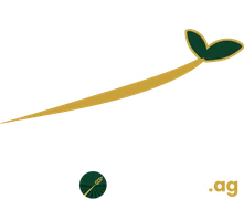 YFI, Young Farms Inc.